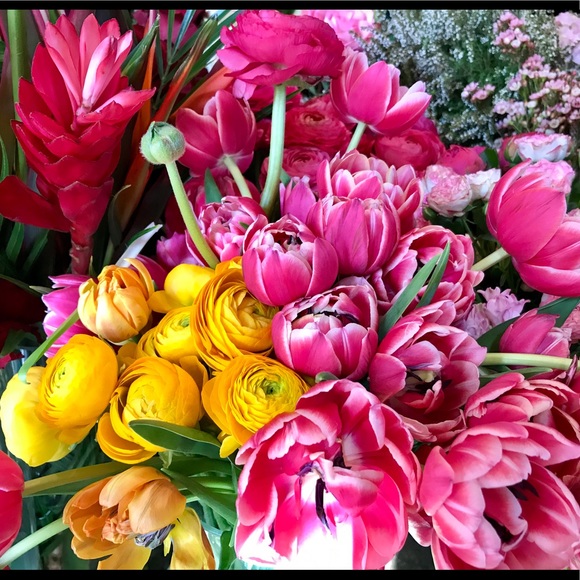 Meet Heidi!  💗  NOT FOR SALE - Picture 1 of 3